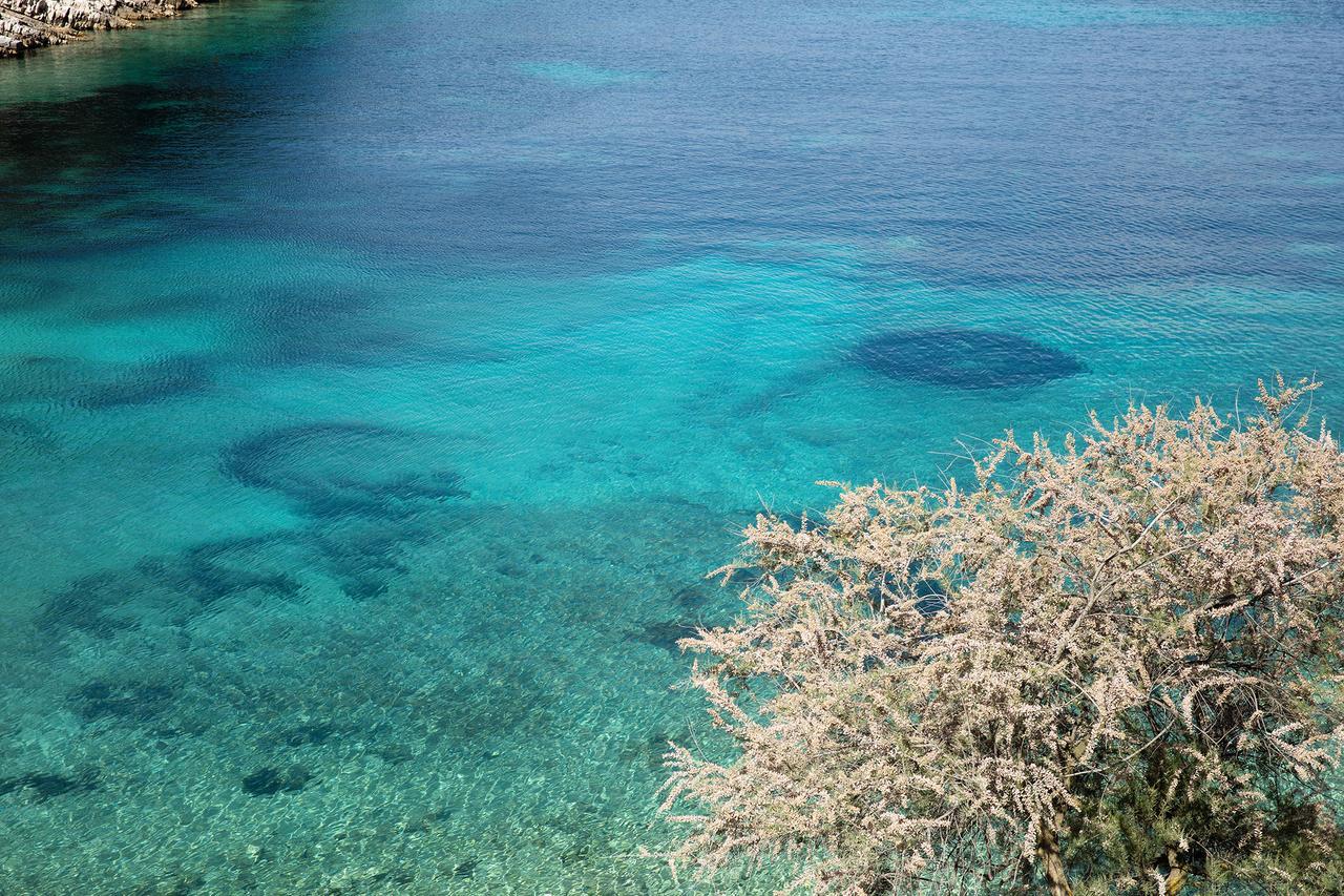 ホテルLittle Green Bay Hvar Island エクステリア 写真